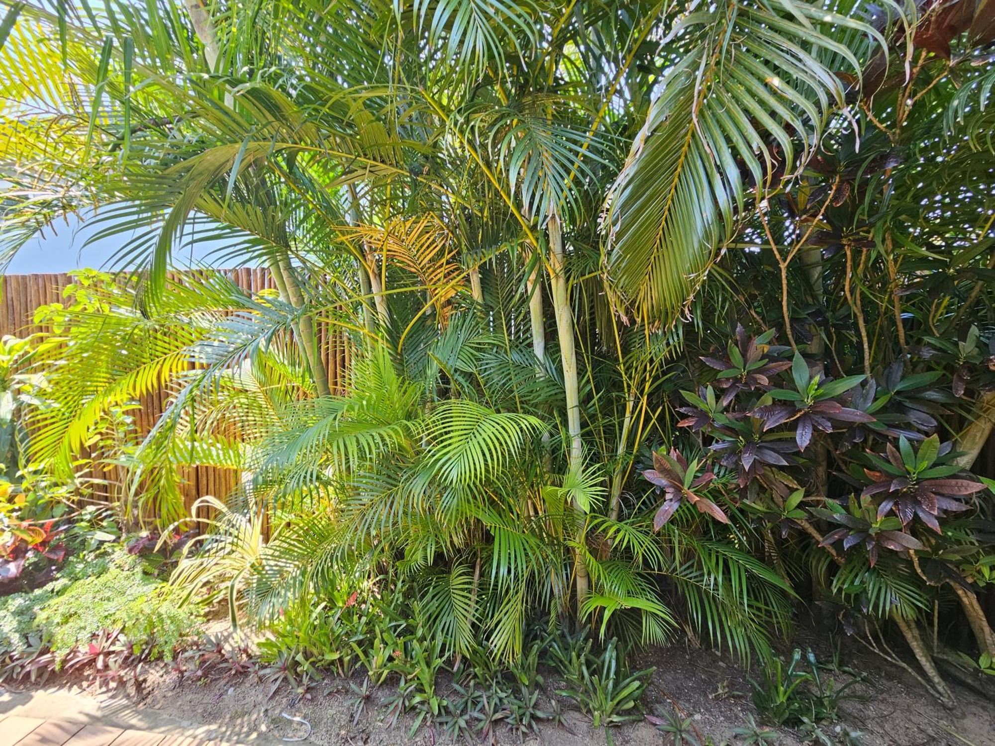 Leopard Corner Lodge Saint Lucia Estuary Exterior foto